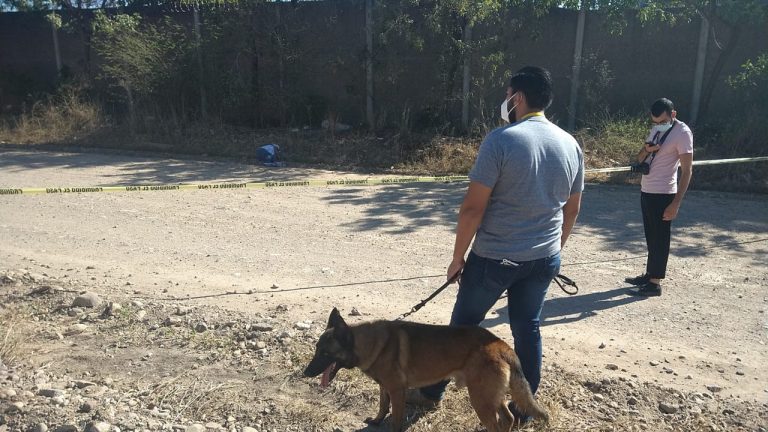 Cadáver, a 300 metros de ‘La Costerita’