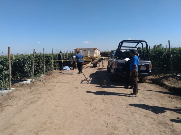 Muere atropellado trabajador agrícola en Cofradía de San Pedro, Navolato
