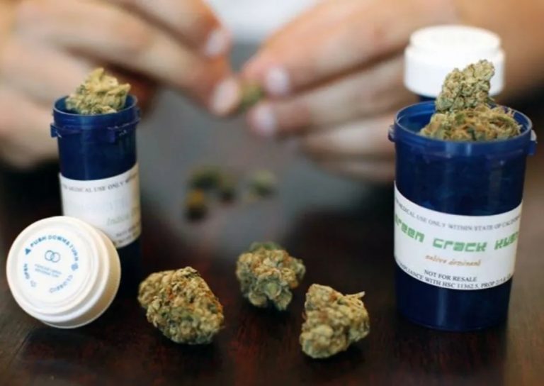 Entra en vigor uso medicinal de la cannabis