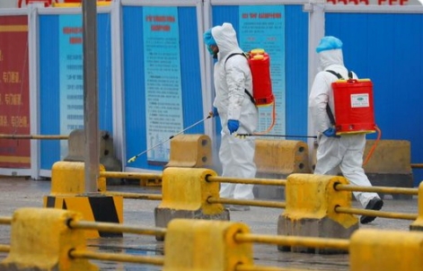 Indaga OMS origen del COVID-19 en mercado de Wuhan