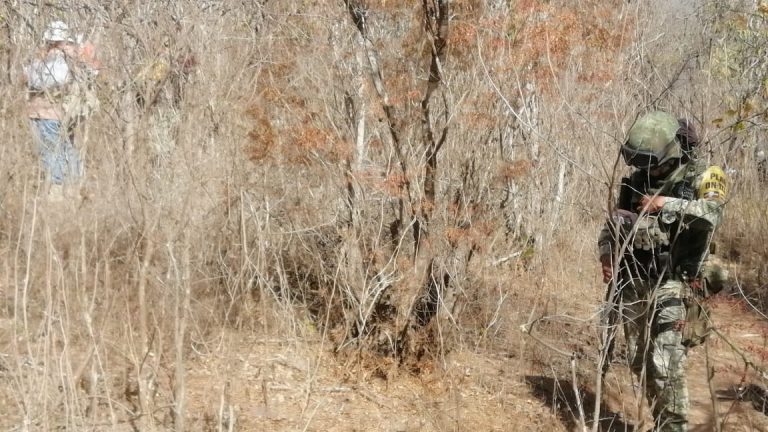 Encuentran un cráneo y otros huesos en la Loma de Rodriguera