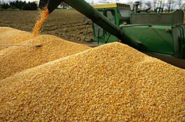 Llega México a récord en importación de granos