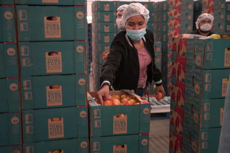 Cae empleo en 2020 por cuarto año consecutivo en Sinaloa