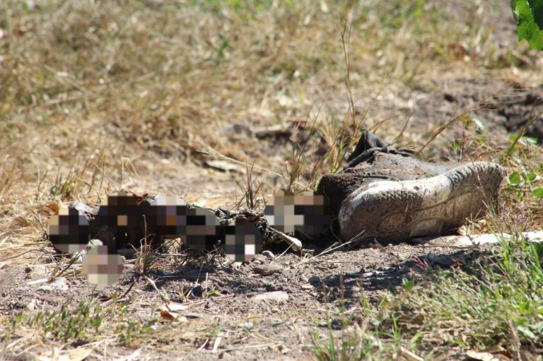 Localizan una pierna en parcela de Aguaruto