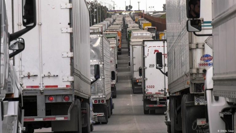 Estiman horticultores pérdidas millonarias