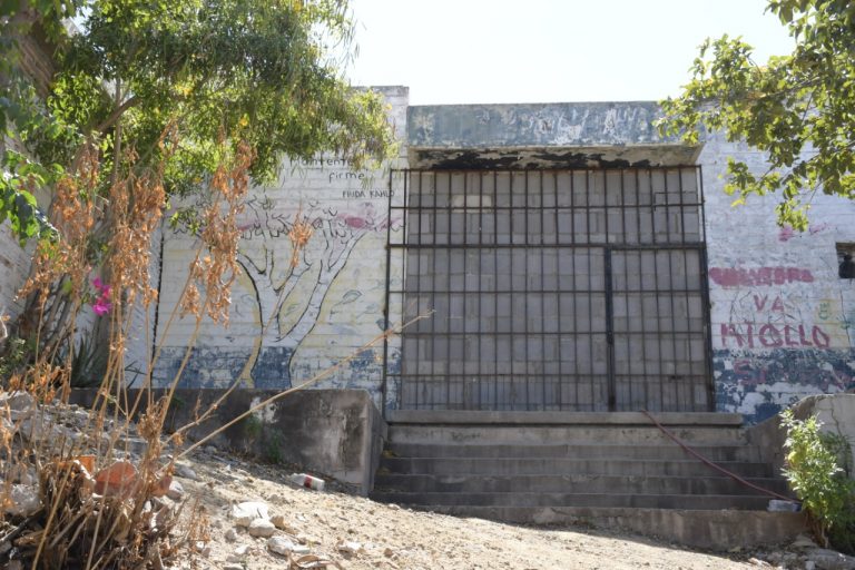 Quieren caseta para más de mil perros y gatos a esterilizar