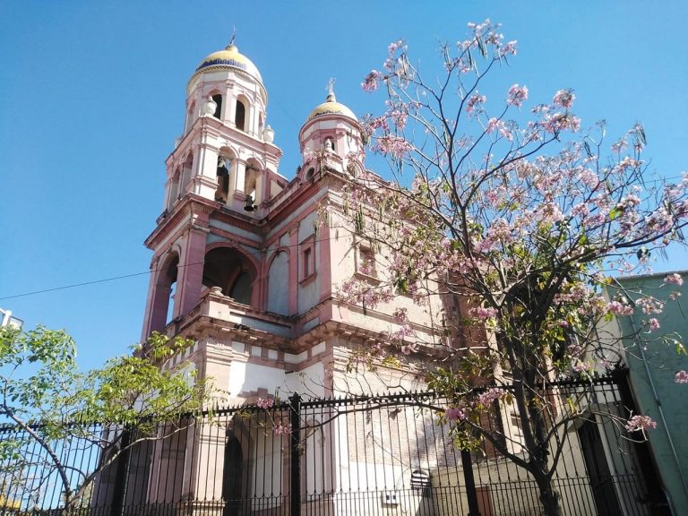 Dará Culiacán protección a árboles endémicos