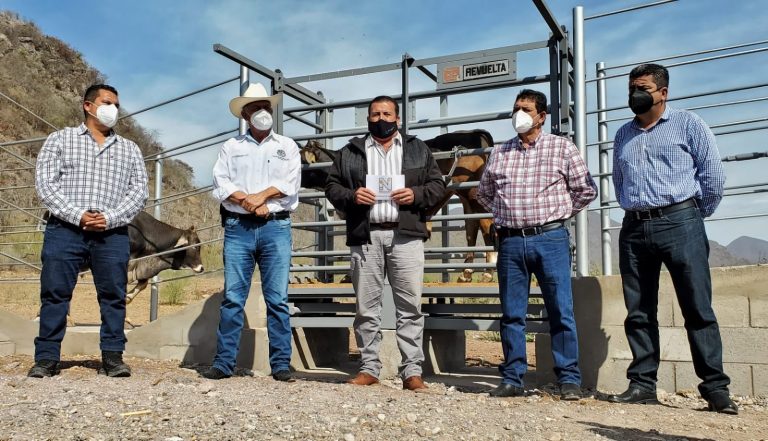 Estrenan báscula ganaderos de ‘El Tigre’