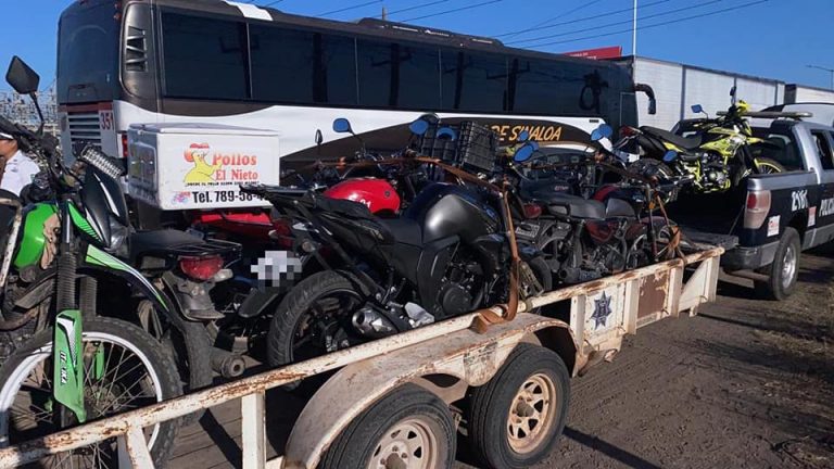 Las decomisan por montones en Jesús Kumate y Canal 7