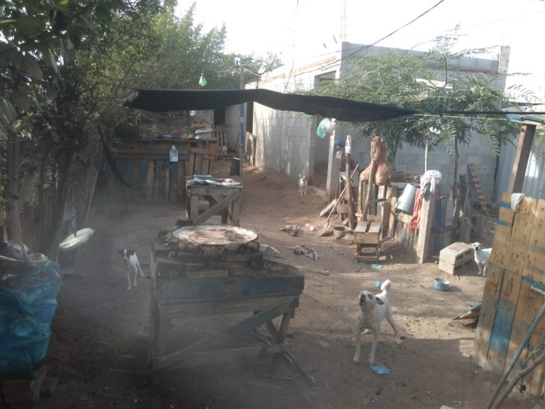 Tenía 18 perros; lo hallan muerto en Villa Juárez