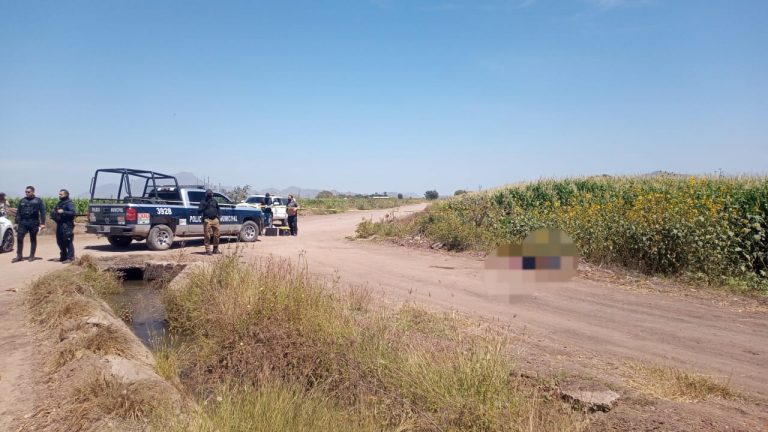 Reportan cadáver en Bellavista, Culiacancito