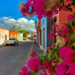 FB_IMG_1617205274795