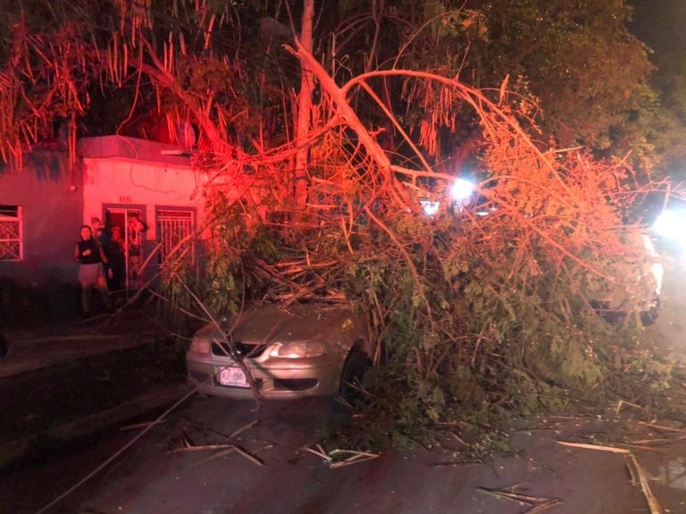 Dejan daños fuertes vientos en Mazatlán