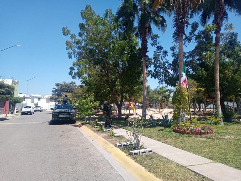 Decomisan 500 mil pastillas de fentanilo en Valle Alto