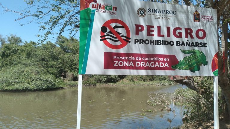 Señalizan peligro en río Tepuchito por cocodrilos