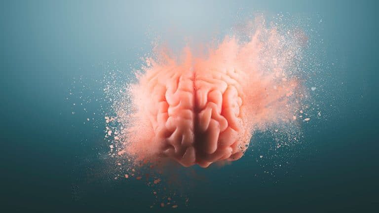 Los humanos nacen con el cerebro ‘precableado’ para ver palabras y letras