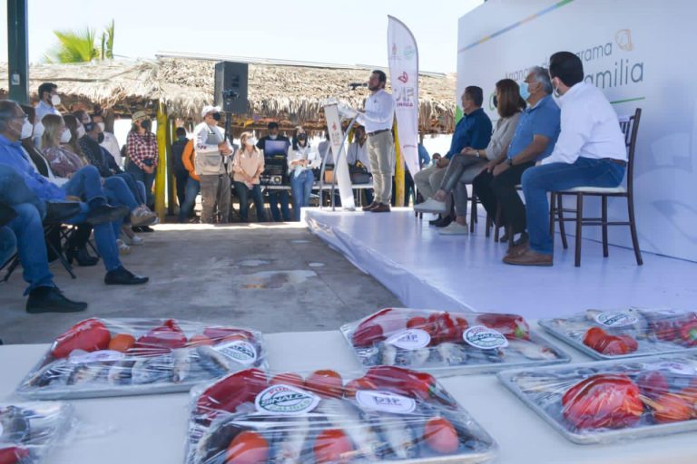 Suma DIF Sinaloa entrega de 150 toneladas de pescado