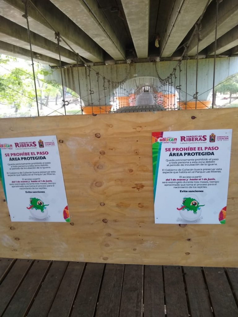 Cierran puente Tres Ríos a la Isla de Orabá