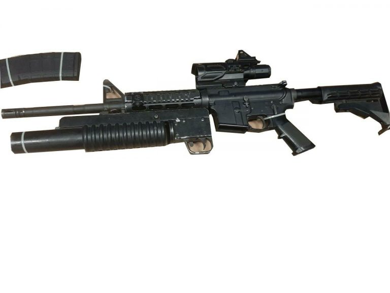 Los decomisan entre Agua Blanca a La Pitahayita