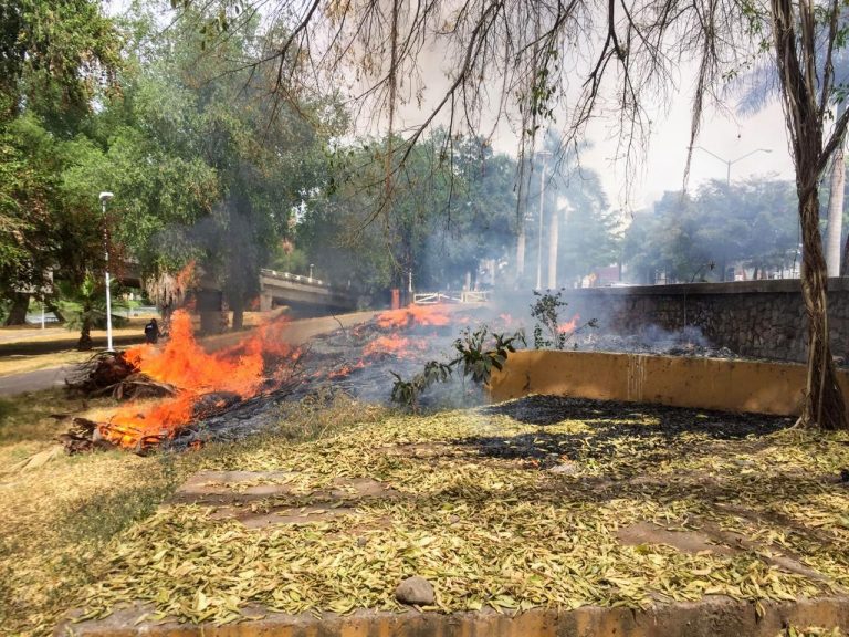 Exhorta Culiacán a evitar quema de soca y de basura por incendios