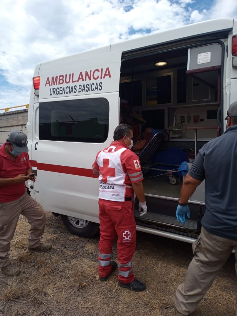 Abejas atacan a 4; uno de ellos con 200 piquetes