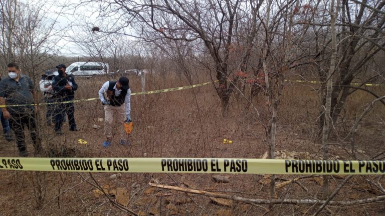 Había huesos en hallazgo detrás del ‘corralón’ en Culiacán