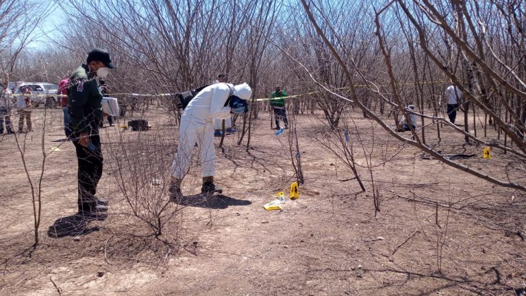 Encuentran restos óseos en la Cuetera