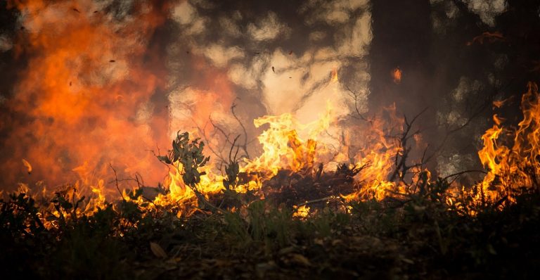 Consumen incendios 2,097 hectáreas en Sinaloa