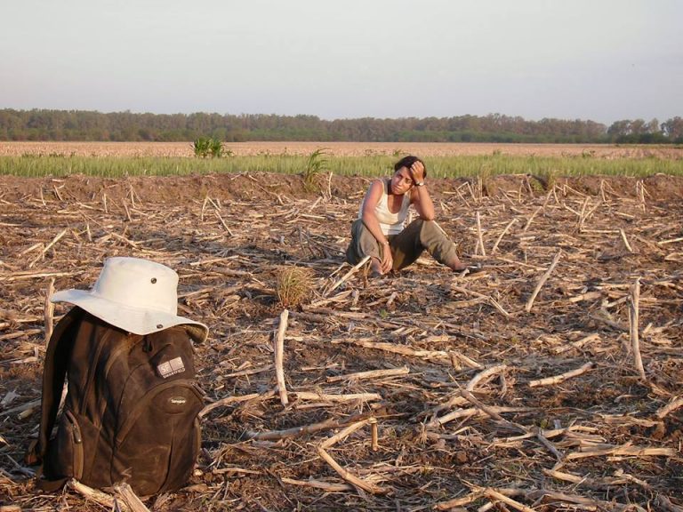 Anticipan menor producción por sequía