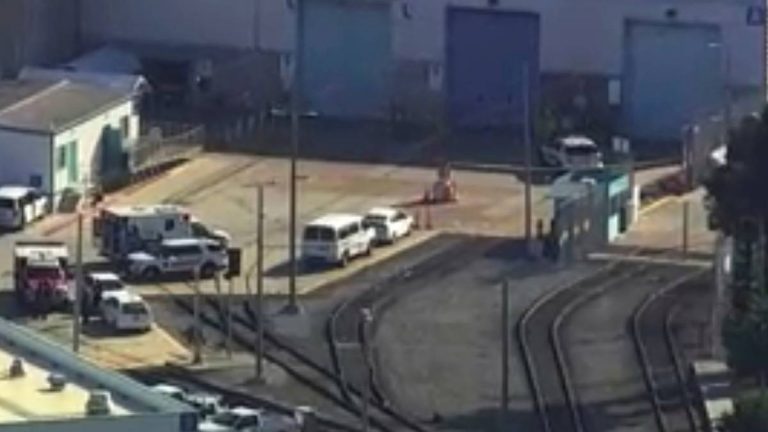 Confirman 9 muertos por tiroteo en California