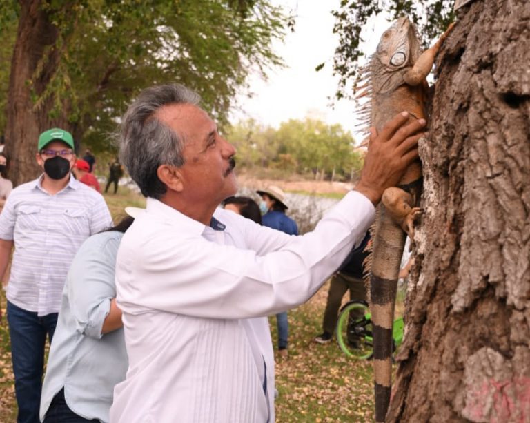 Dan vida nativa a Paseo de la Alegría