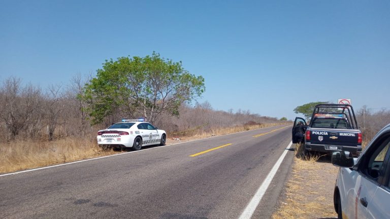 Estaba muerto por golpes en Baila, Culiacán
