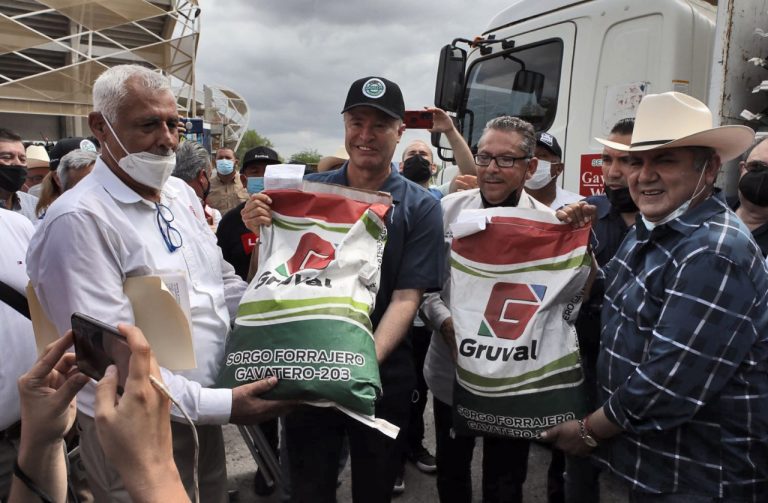 Dan semilla de sorgo a temporaleros y ganaderos