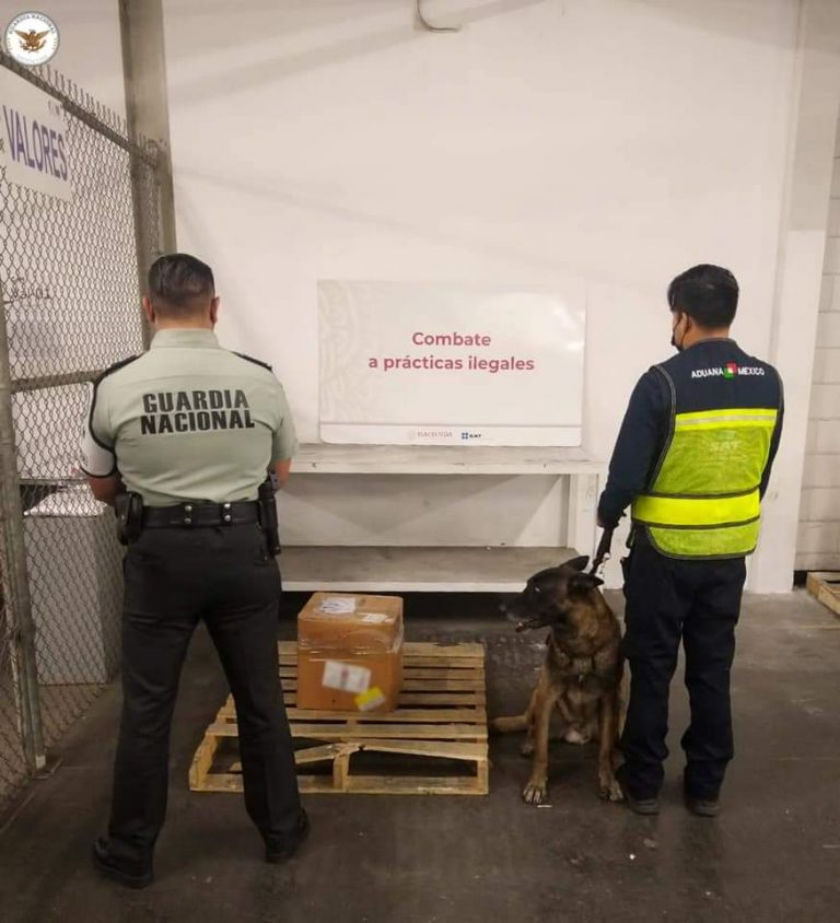 Venía de Hong Kong y sería enviado a Culiacán