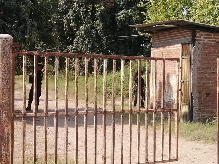 Hallan cadáver en huerta de Los Alamitos, Navolato
