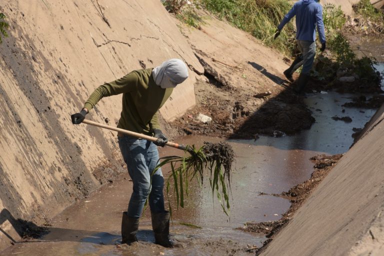 Al 80% limpieza de arroyos y canales en Culiacán