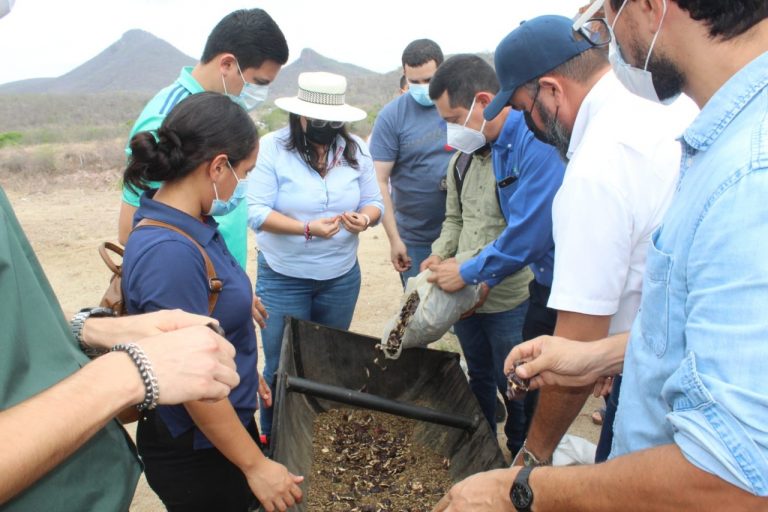 Lanzarán ‘bombas de semillas’ sobre zonas degradadas