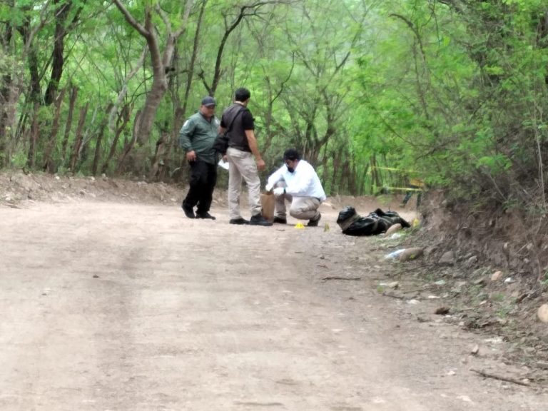 Envuelto en hule negro lo encuentran en Sanalona