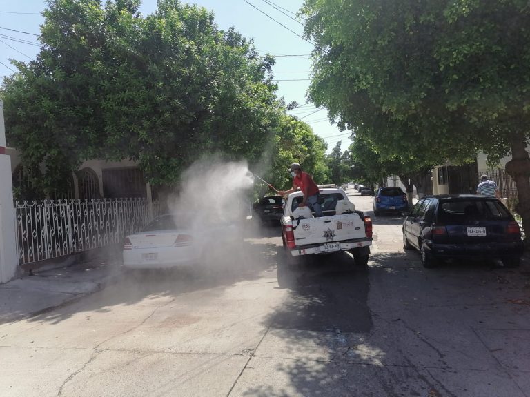 Cae 50% economía en Culiacán