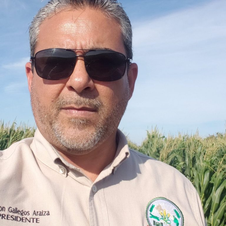 Injustificado alza al precio de la tortilla: campesinos