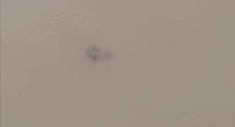 Hallan cadáver en canal de Recursos