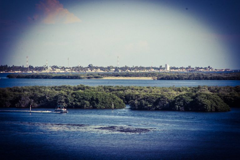 Repunta turismo en Altata y suben ventas al 70%