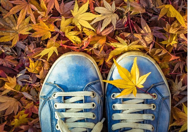 Inicia el otoño en el hemisferio norte