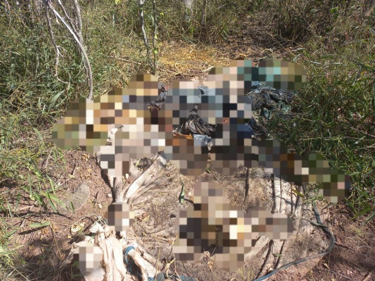 Del Gato de Lara, Angostura posible cadáver hallado en ‘El Tigre’, Navolato