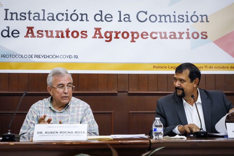 Incluye Rocha ‘etiquetas’ a presupuesto