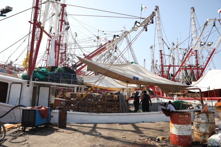 Aplauden apertura de frontera de EU al camarón mexicano