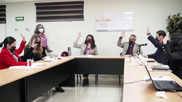 Palomea comisión de diputados Secretaría de las Mujeres