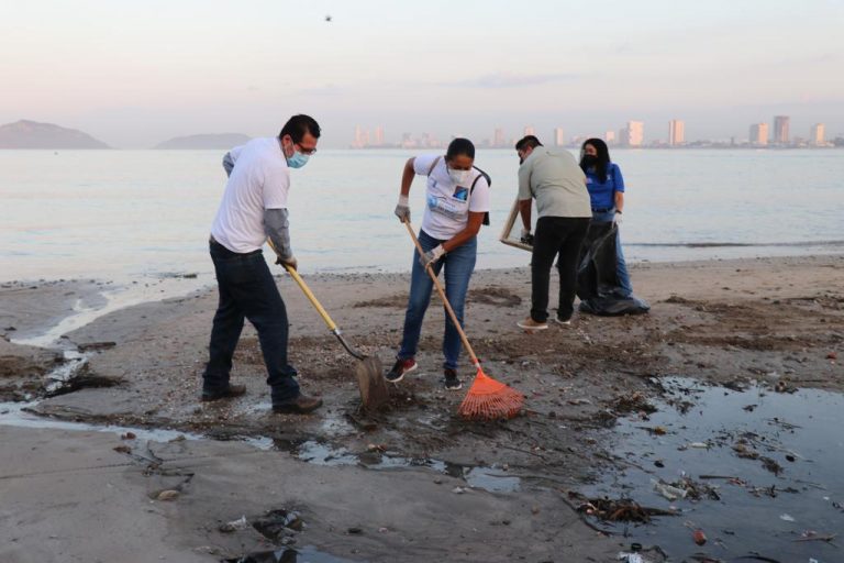 Barren desde microplásticos hasta botellas