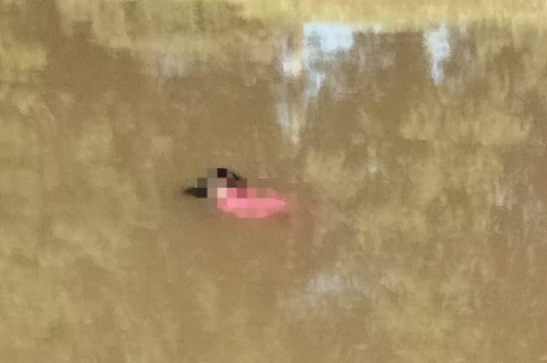 Aparece cadáver flotando en canal en los límites de Culiacán y Navolato