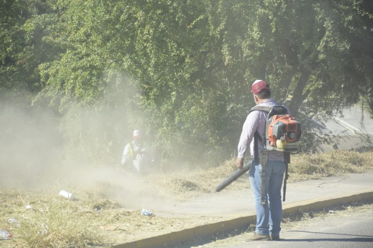 Tumban maleza a bulevares de Culiacán